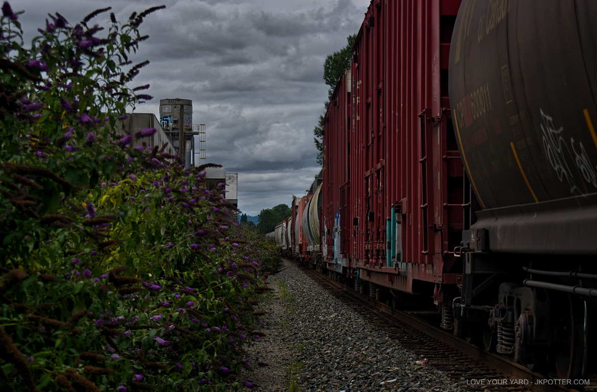 tags, graffiti, boxcar, train, boxcar tags, railroad graffiti, freight train graffiti, rail art, rail graffiti, boxcar, freight, moniker