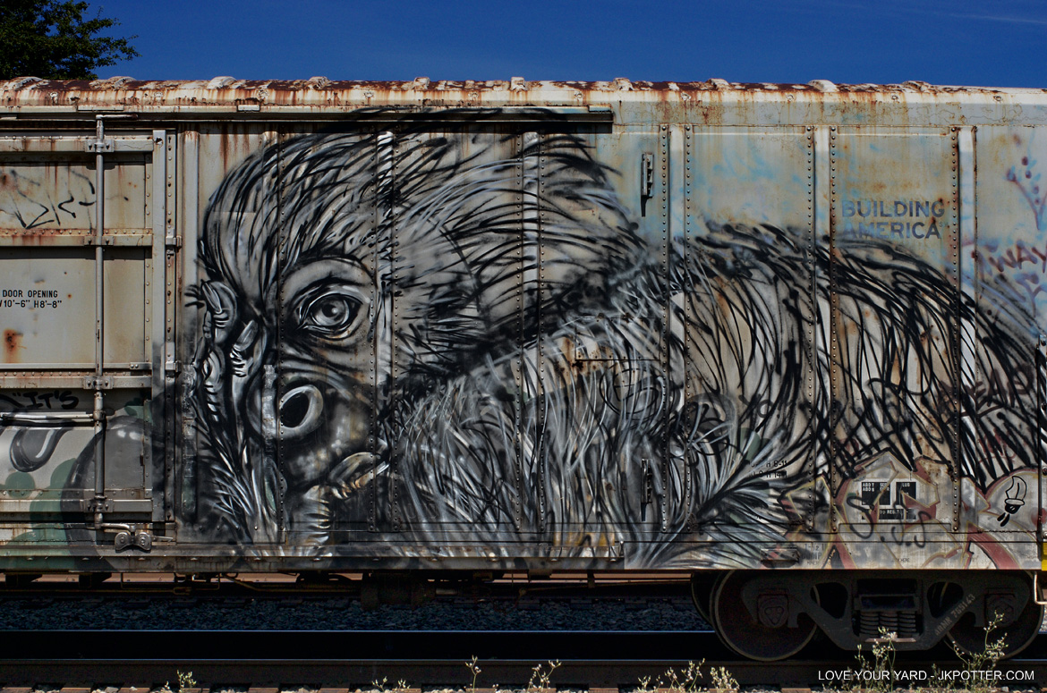 gorilla, tags, graffiti, boxcar, train, boxcar tags, railroad graffiti, freight train graffiti, rail art, rail graffiti, boxcar, freight, moniker