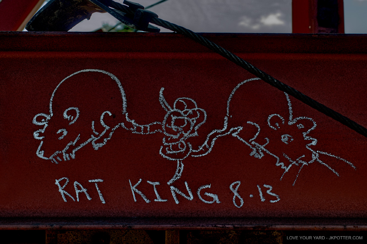 rat king, tags, graffiti, boxcar, train, boxcar tags, railroad graffiti, freight train graffiti, rail art, rail graffiti, boxcar, freight, moniker